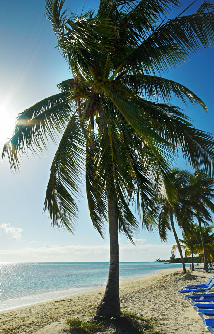 dolphin magic retreat