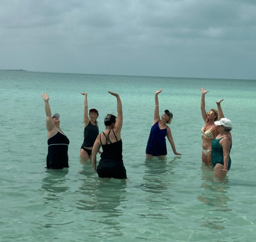 dolphin magic retreat